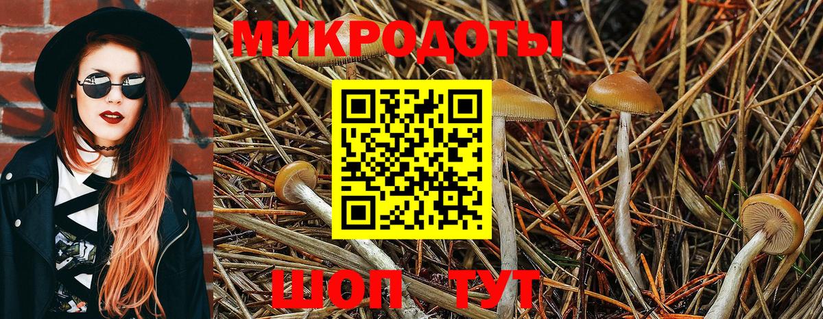 Галлюциногенные грибы Cubensis  Вход с VPN  Рузаевка  Галлюциногенные грибы GOLDEN TEACHER 